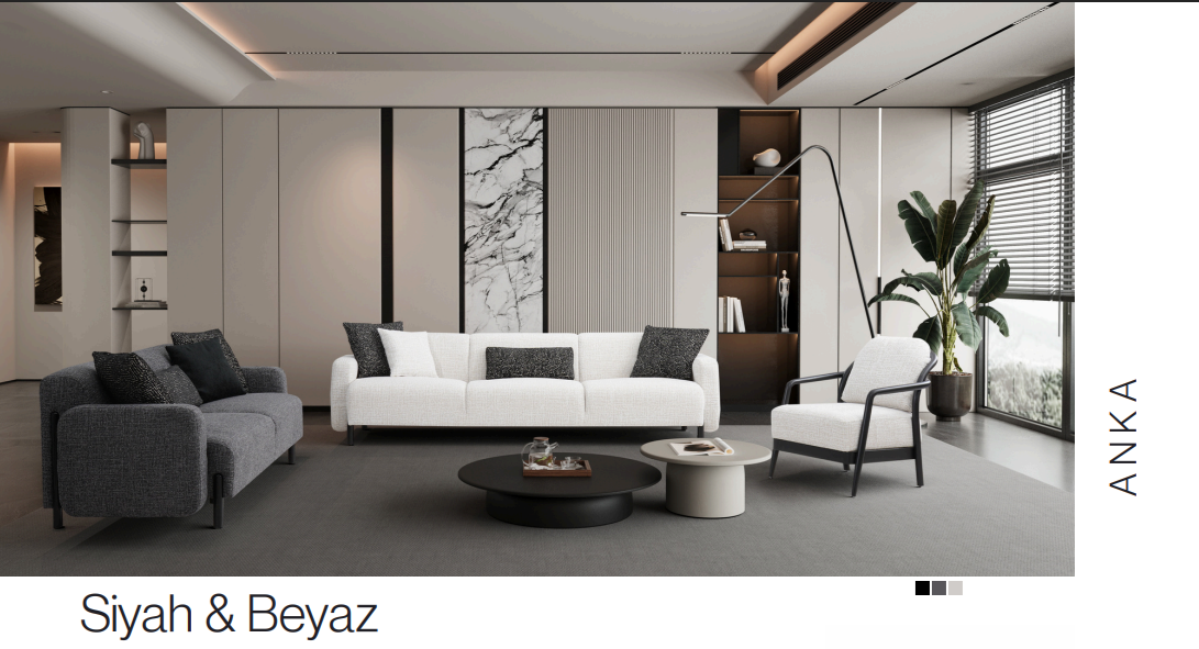 living rooms and sofas
